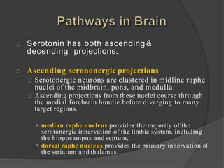 Serotonin has both ascending &
decending projections.
Ascending serononergic projections
Serotonergic neurons are clustered in midline raphe
nuclei of the midbrain, pons, and medulla
Ascending projections from these nuclei course through
the medial forebrain bundle before diverging to many
target regions.
 median raphe nucleus provides the majority of the
serotonergic innervation of the limbic system, including
the hippocampus and septum,
 dorsal raphe nucleus provides the primary innervation of
the striatum and thalamus.
 