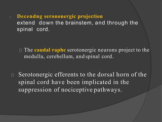 Decendng serononergic projection
extend down the brainstem, and through the
spinal cord.
The caudal raphe serotonergic neurons project to the
medulla, cerebellum, and spinal cord.
Serotonergic efferents to the dorsal horn of the
spinal cord have been implicated in the
suppression of nociceptive pathways.
 