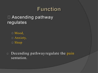 Ascending pathway
regulates
Mood,
Anxiety,
Sleep
Decending pathway regulate the pain
sentation.
 