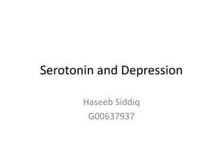 Serotonin and Depression
Haseeb Siddiq
G00637937
 