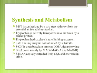 Synthesis and Metabolism
 5-HT is synthesized by a two step pathway from the
essential amino acid tryptophan.
 Tryptophan is actively transported into the brain by a
carrier protein.
 Tryptophan hydroxylase is rate limiting enzyme .
 Rate limiting enzyme not saturated by substrate.
 5-OHTr decarboxylase same as DOPA decarboxylase
 Breakdown mainly by MAO (MAO-A and MAO-B)
 5-HIAA actively extruded from CNS and excreted in
urine.
 