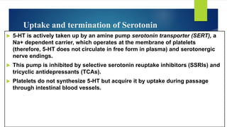 Uptake and termination of Serotonin
 5-HT is actively taken up by an amine pump serotonin transporter (SERT), a
Na+ dependent carrier, which operates at the membrane of platelets
(therefore, 5-HT does not circulate in free form in plasma) and serotonergic
nerve endings.
 This pump is inhibited by selective serotonin reuptake inhibitors (SSRIs) and
tricyclic antidepressants (TCAs).
 Platelets do not synthesize 5-HT but acquire it by uptake during passage
through intestinal blood vessels.
 