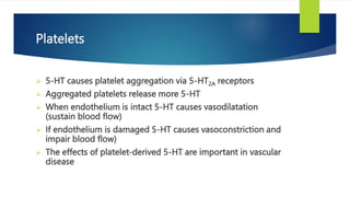 Platelets
 5-HT causes platelet aggregation via 5-HT2A receptors
 Aggregated platelets release more 5-HT
 When endothelium is intact 5-HT causes vasodilatation
(sustain blood flow)
 If endothelium is damaged 5-HT causes vasoconstriction and
impair blood flow)
 The effects of platelet-derived 5-HT are important in vascular
disease
 
