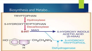 Biosynthesis and Metabo…
 