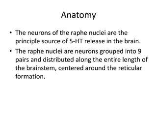 Anatomy
• The neurons of the raphe nuclei are the
principle source of 5-HT release in the brain.
• The raphe nuclei are neurons grouped into 9
pairs and distributed along the entire length of
the brainstem, centered around the reticular
formation.
 