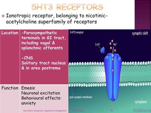 Serotonin receptors agonists & antagonists | PPTX | Endocrine and ...