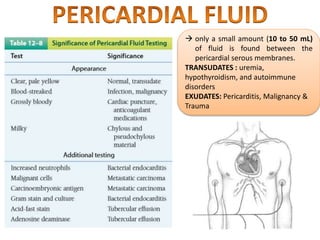  only a small amount (10 to 50 mL)
of fluid is found between the
pericardial serous membranes.
TRANSUDATES : uremia,
hypothyroidism, and autoimmune
disorders
EXUDATES: Pericarditis, Malignancy &
Trauma
 
