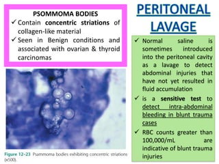 PSOMMOMA BODIES
 Contain concentric striations of
collagen-like material
 Seen in Benign conditions and
associated with ovarian & thyroid
carcinomas
 Normal saline is
sometimes introduced
into the peritoneal cavity
as a lavage to detect
abdominal injuries that
have not yet resulted in
fluid accumulation
 is a sensitive test to
detect intra-abdominal
bleeding in blunt trauma
cases
 RBC counts greater than
100,000/mL are
indicative of blunt trauma
injuries
 