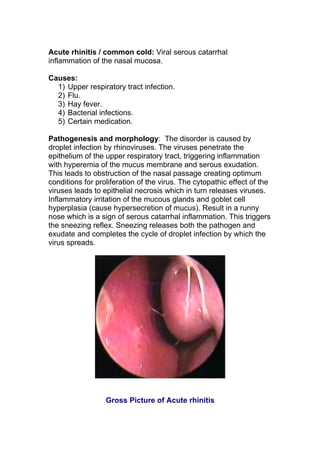 Acute rhinitis / common cold: Viral serous catarrhal
inflammation of the nasal mucosa.

Causes:
  1) Upper respiratory tract infection.
  2) Flu.
  3) Hay fever.
  4) Bacterial infections.
  5) Certain medication.

Pathogenesis and morphology: The disorder is caused by
droplet infection by rhinoviruses. The viruses penetrate the
epithelium of the upper respiratory tract, triggering inflammation
with hyperemia of the mucus membrane and serous exudation.
This leads to obstruction of the nasal passage creating optimum
conditions for proliferation of the virus. The cytopathic effect of the
viruses leads to epithelial necrosis which in turn releases viruses.
Inflammatory irritation of the mucous glands and goblet cell
hyperplasia (cause hypersecretion of mucus). Result in a runny
nose which is a sign of serous catarrhal inflammation. This triggers
the sneezing reflex. Sneezing releases both the pathogen and
exudate and completes the cycle of droplet infection by which the
virus spreads.




                  Gross Picture of Acute rhinitis
 