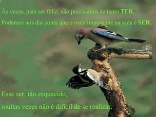Às vezes, para ser feliz, não precisamos de tanto  TER. Podemos nos dar conta que o mais importante na vida é  SER. Esse ser, tão esquecido,  muitas vezes não é difícil de se realizar . . 