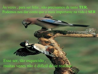 Às vezes , para ser feliz , não precisamos de tanto TER.
Podemos nos dar conta que o mais importante na vida é SER .




Esse ser, tão esquecido ,
muitas vezes não é difícil de se realizar.
 