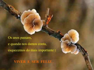 Os anos passam,  e quando nos damos conta, esquecemos do mais importante  : VIVER  E  SER  FELIZ . 