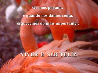 Os anos passam,
e quando nos damos conta,
esquecemos do mais importante :

VIVER E SER FELIZ .

 