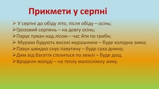  У серпні до обіду літо, після обіду – осінь;
Грозовий серпень – на довгу осінь;
Парує туман над лісом – час йти по гриби;
 Мурахи будують високі мурашники – буде холодна зима;
Павук швидко снує павутину – буде суха днина;
Дим від багаття стелиться по землі – буде дощ.
Вродили жолуді – на теплу малосніжну зиму.
Прикмети у серпні
 