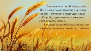Серпень – останній місяць літа.
Його назва походить вона від слова
«серп» – головного знаряддя праці
хлібороба, адже жнива проходили
саме в цьому місяці.
В народі восьмий місяць величали
жнивцем, копенем, заревом, грибнем.
 