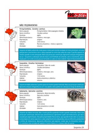 INSTITUTO BUTANTAN


NÃO PEÇONHENTAS
Periquitambóia, Corallus caninus
Nome popular:          Periquitambóia, Cobra papagaio, Arabóia




                                     ○
                                     ○
Nome científico:       Corallus caninus




                                     ○
                                     ○
Dentição:             áglifa


                                     ○
Alimentação básica:    roedores, morcegos

                                     ○
                                     ○
Reprodução:            vivípara
Tamanho:               2,00 metros   ○
                                     ○
                                     ○




Hábitat:               floresta amazônica – matas e capoeiras
                                     ○
                                     ○




Atividade:             noturna
                                     ○
                                     ○
                                     ○




Serpente de hábito arborícola, onde passa a maior parte do dia enrolada em tronco de árvore, em uma
                                     ○




posição bem característica com a cabeça apoiada no centro das voltas do corpo. É pacífica apesar de
                                     ○
                                     ○




morder quando se sente ameaçada. Mata suas presas por constricção. Apresenta variação ontogenética
                                     ○
                                     ○




na cor, nos jovens a coloração varia de róseo a avermelhado até amarelo, com o crescimento, após a
                                     ○




muda pele a cor verde vai aos poucos tornando-se cada vez mais evidente. Veja em Desenvolvimento.
                                     ○
                                     ○
                                     ○
                                     ○




Suaçubóia, Corallus hortulanus
                                     ○




Nome popular:         Suaçubóia, Cobra de veado
                                     ○
                                     ○




Nome científico:      Corallus hortulanus
                                     ○




Dentição:             áglifa
                                     ○
                                     ○




Alimentação básica:   roedores, morcegos, aves
                                     ○
                                     ○




Reprodução:           vivípara
                                     ○




Tamanho:              1,50 metros
                                     ○
                                     ○




Hábitat:              matas amazônica e atlântica
                                     ○
                                     ○




Atividade:            noturna
                                     ○
                                     ○
                                     ○




Serpente de hábito arborícola. É pacífica apesar de morder quando molestada. Mata suas presas por constricção.
                                     ○




Apresenta variação ontogenética na cor e nos adultos vários padrões de coloração ao longo da distribuição.
                                     ○
                                     ○
                                     ○
                                     ○




Salamanta, Epicrates cenchria
                                     ○




Nome popular:         Salamanta, Jibóia Vermelha
                                     ○
                                     ○




Nome científico:      Epicrates cenchria
                                     ○
                                     ○




Dentição:             áglifa
                                     ○




Alimentação básica:   roedores, aves
                                     ○
                                     ○




Reprodução:           vivípara
                                     ○




Tamanho:              1,20 metros
                                     ○
                                     ○




Hábitat:              mata amazônica e cerrado
                                     ○
                                     ○




Atividade:            noturna
                                     ○
                                     ○
                                     ○




Serpente de hábito terrícola. Não é muito pacífica podendo morder quando molestada. Mata suas
                                     ○
                                     ○




presas por constricção. Uma de suas características é apresentar a pele com iridescência, que não é
                                     ○




causado por pigmentação, mas pelas propriedades físicas da luz, que quando incide sobre as escamas
                                     ○
                                     ○




se decompõe em vários espectros e cada comprimento de onda produz uma cor diferente, produzindo
                                     ○
                                     ○




o efeito de iridescência. Apresenta diferentes sub-espécies, sendo que na Amazônia temos a
                                     ○




E.c.cenchria e nos cerrados do Sudeste e Centro-Oeste a E.c.crassus, além de outras.
                                     ○
                                     ○




                                                                                            Serpentes 39
 