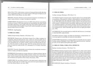 24 I As ESPÉCIES DE SERPENTES DO BRASIL
bifrons (Foto n° 09), é relativamente comum na Caatinga da Bacia do Rio São Fran-
cisco, se mostrando comum em um resgate de fauna na Barragem de ltaparica na dé-
cada de 1980 (Cristiano Moura, com. pess. 2003).
BIOLOGIA: Fossorial; alimenta-se provavelmente de pequenos invertebrados, for-
migas e cupins terrestres; é ovípara, sem dados de ovipostura.
COMENTÁRIOS: Recentemente Curcio el ai (2002) redescobriram LeplOlyphlops
brasiliensis (Laurent, 1949) muito parecida com Leplolyphlops macrolepis, porém
essa espécie apresenta-se com a região ventral mais clara e prefere regiões de Cerra-
do, foi encontrada em Barreiras/Ba e Uruçuí-Una/Pi, ambos municípios com vegeta-
ção de Cerrado (Curcio el al, 2002).
FAMiuA: Typhlopidae
1) COBRA-DA-TERRA
Typhlops brongersmianus (Vanzolini, 1972) (Foto n° 10).
DESCRIÇÃO: Pequeno porte, dificilmente alcança 35 cm. Olhos vestigiais; bo-
ca pequena , cabeça não destacada do corpo, cauda curta, dentição áglifa, não pe-
çonhenta. Porção dorsal inteiramente marrom-escura ou clara, com o ventre cla-
ro ou inteiramente de cor marfim; escamas ventrais não diferenciadas das dor-
sais. Filas de escamas ao redor do corpo, 20-20-18, escamas dorsais da rostral a
ponta do espinho da cauda de 209 a 217, subcaudais 9 a 13 (Cunha e Nascimen-
to, 1993).
BIOLOGIA: Fossorial, alimentando-se provavelmente de invertebrados terrestres e
insetos; é ovípara, sem dados de ovipostura.
DISTRIBUIÇÃO: Encontrada em restingas arbustivas e arbóreas do litoral, além de
áreas de Mata Atlântica do Estado da Bahia. Nordeste, Sudeste, Sul, Centro Oeste e
Norte. Ocorre em quase toda a América do Sul a Leste dos Andes, excluindo áreas
mais meridionais da Argentina e Chile (Cunha e Nascimento, 1993).
COMENTÁRIO: Por seus hábitos fossoriais, é uma espécie pouco conhecida na sua
biologia; foi observado um exemplar entre cascas de árvores aproximadamente 2,0
m do chão (Elbano Moraes, com. pess. 1999).
As ESPÉCIES DE SERPEIVTES 00 BRASIL I 25
2) COBRA DA TERRA
Typhlops yonenagae (Rodrigues, 1991) (Foto n° 11).
DESCRIÇÃO: Serpente de pequeno porte, atingindo apenas 10 cm, dentição áglifa,
não peçonhenta, olhos pequenos vestigiais, cabeça pequena e não destacada do cor-
po. Escamas dorsais lisas mais largas que longas, dispostas em 18 fileiras sem re-
duções, 259 a 269 escamas da rostral até o espinho caudal, 9 a 10 subcaudais da aba
anal ao espinho. Colorido de fundo creme pálido, região dorsal do corpo, mais es-
I.:ura, pintalgada uniforme e francamente castanho, uma faixa médio dorsal casta-
nho escura se estende da cabeça ao espinho caudal; porção dorsal posterior da ca-
beça castanho escuro. Ventre imaculado, algo mais escuro na região guiar (Rodri-
gues, 1991). .
DISTRIBUIÇÃO: Foi encontrada apenas no médio Rio São Francisco, no município
de Santo Inácio/BA, região de dunas.
BIOLOGIA: Fossorial, ovípara, sem dados de alimentação e comportamento, de-
vendo essa espécie se assemelhar com outras do mesmo gênero.
( 'OMENTÁRIO: Recentemente, na mesma região foi encontrada uma nova espécie
Typhlops amoipira (Rodrigues e Juncá, 2002), muito parecida com esta. Aumentan-
do assim, em seis espécies desse gênero para o Brasil.
J ) COBRA DA TERRA, COBRA-CEGA, MINHOCÃO
f"vplzlops reticulallls (Linnaeus, 1758) (Foto'n° 12).
I>
ESCRIÇÃO: Serpente de pequeno porte, atingindo 48 cm, sendo a maior espécie
dI) gênero. Dentição áglifa, não peçonhenta, olho pequeno vestigial, cabeça pequena
I ' não destacada do corpo. Coloração negra no dorso com a base das escamas amare-
ladas, focinho amarelo, cauda amarela na parte dorsal, com algumas manchas ne-
rras; espinho terminal geralmente de 20r escura, ventre amarelo ou branco unifor-
111 ' . Escamas dorsais lisas com 20-20-18 fileiras de escamas ao redor do corpo, 207
a 268 escamas dorsais desde a rostral até o espinho caudal , subcaudais de lO a 13
(('unha e Nascimento, 1978 e 1993).
IJISTRIBurçÃO: Região Amazônica. (Venezuela).
 