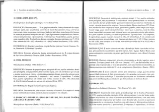 36 I f:'.s ESPÉCIES DE SERPENTES DO BRASIL
3) COBRA CIPÓ, BOICIPÓ.
Dendrophidion dendrophis , 1837) (Foto n° 40).
DESCRIÇÃO: Pequeno porte, 1,20 m, pupilas redondas, cabeça destacada do corpo,
não peçonhenta. Colorido de fundo basicamente com faixas
transversais claras ou escuras, confornle a idade do indivíduo; essas faixas têm formas,
às vezes de pequenos em pé. nas
uma escama 2+2 temporais, 9 supralabiais, quarta, quinta e
sexta tocando o olho, 9 ínfralabiais, dorsais carenadas, fossetas em 17-17-16
ventrais de 149 a subcaudais 144 a 166 e Nascimento, 1978 e 1993).
DISTRIBUIÇÃO: Sul da América Pe-
ru, Venezuela, Colômbia e Equador).
BIOLOGIA: arborícola, diurna, alimentando-se de rãs. É ovípara botando
de 4 a 6 ovos (Martins e Oliveira, 1998; Cunha e 1978).
NINfA HUDSONJ.
Ninia hudsoni 1940) (Foto nO 41).
de pequeno porte, atingindo 40 cm, pupilas redondas, dentí-
Inteiramente negra, com um anel branco que circula
a porção da cabeça e início das da cabeça negra.
Uma preocular, e 1 postocular, 2 temporais, I ou 2 7 supralabiais, 7 infrala-
quarta supralabiais em contato com o olho, ventrais de 138 a 148, subcaudais
de 60 a dados baseado em apenas três animais (Silva, 1993).
Amazônica (Guiana
BIOLOGIA: sabe-se que é terrestre e fossorial; Esta espécie é muito
pouco conhecida e estudada, existem poucos em I.>u,,,,,,,-,,:,,,,.
5) JARACUÇU-DO-BREJO, RABO-DE-VELUDO, MALHA-DE-TRAÍRA,
JARACUÇU-RABO-DE-FUSO.
Mastigodryas bifossatus (Raddi, 1820) (Foto n" 42).
f:'.s ESPÉOES DE SERPENTES DO BRASIL I 37
de médio podendo 1, 9 m; pupilas redondas;
u", •• ,,.nv áglifa, não peçonhenta. O colorido de fundo é o marrom,
manchas dorsais arredondadas que se emendam com as manchas indefinidas do
ventre; a porção posterior da serpente é mais melãníca. Dentes maxilares (27). Esca-
internasais mais que que largas,
frontal quase o dobro dos e menor que os parietais, nasal dividida,
trapezoidal, um pouco mais alto que largo, um preocular
da tocando as 2 2+2 temporais,
abiais, quarta e quinta tocando o olho, 10 infralabiais, 5 em contato com
dorsais com fossetas em 15-15-15 ventrais
60 a 181, anal simples ou dividida, subcaudais divididas de 94 a l02(Cunha e
um,"b'J, I
É muito comum em todo o Estado da Bahia e em todos os bio-
os ambientes que têm rios e Todo o Brasil, com
subespécies ocorrendo em países que fazem fronteiras com o Brasil (Guiana
Diurna e terrestre, alimentando-se de rãs, aves e
É ovípara, pondo de 8 a 20 ovos (Amaral, 1977); em Salvador/Ba, foi re-
.",'""".., uma ovipostura de 22 ovos em com nascimento em os
nasceram com média de 32 em de (Brasileiro e Duarte, 2001).
É muito comum e temida homem do campo, que lhe atribuí
extrema; de fato, se molestada, vibra a cauda com grande pro-
som típico no folhiço. O indivíduo ser facilmente confundido
de Mastigodryas bobdaerti que é encontrado no norte do Brasil.
1796) n° 43 e 44).
1,5 m e Nascímen-
áglifa, não peçonhenta. A cor de fundo predo-
nos adultos é o cinza ou marrom avermelhado uniforme, com uma linha
sentido longitudinal por todo o corpo de cada lado, o jovem se apresenta
na coloração e desenhos com indivíduos de Mastigodryas bifossa-
2 2 9 10 infrala-
 
