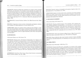 48 I As ESPÉOES DE SERPENTES DO BRASIL
- - _.._ . - - - - - - - - - - - - - - - - - - - - - - - - -
DESCRIÇÃO: Serpente de médio porte, atingindo 2,6 m; pupilas verticais, dentição
opistóglifa, semi-peçonhenta. Na coloração, é muito parecida com a espécie ante-
rior, com diferenças apenas nas contagens de escamas e detalhes morfológicos, sen-
do difícil ao leigo distinguir as duas espécies. Escamas supralabiais em número de
7, terceira e quarta em contato com o olho, 8 infralabiais, raramente 9; I preocular,
raramente 2; 2 postoculares; 2+3 temporais, raramente 1+3 ou 2+2; dorsais lisas
com 2 fossetas apicilares 19-19-17; ventrais de 198 a 230, subcaudais de 70 a 97
(Zaher, 1996).
DISTRIBUICÃO: Litoral do Nordeste, Sudeste, Sul e Mato Grosso do Sul. (Zaher,
1996).
BIOLOGIA: Crepuscular, noturna e terrestre, alimentando-se de lagartos, serpentes,
aves e roedores. É ovípara, pondo de 8 a 14 ovos (Amaral, 1977).
COMENTÁRIO: Apesar de os gêneros Clelia ou Boiruna serem ofiófagos, no Nor-
deste não são preservados, sendo inclusive temido pelo homem do campo; acredita-
mos que isso ocorra devido a seus hábitos noturnos, que dificultam observar preda-
ções em outras serpentes. Ocorre na região Amazônica Clelia clelia, muito parecida
com esta espécie.
MUSSURANA
Clelia quimi (Franco et aI, 1997) (Foto n° 72).
DESCRIÇÃO: Pequeno porte, dificilmente ultrapassando 1,0 m. Pupilas verti-
cais, dentição opistóglifa, semipeçonhenta; a cor de fundo que predomina é o
vermelho claro, com a cabeça negra no dorso até as parietais, posterior à estas
há um colar vermelho da largura aproximada de 3 a 4 escamas dorsais, poste-
rior a esse "colar" segue por todo o dorso a cor negra que chega até às laterais,
mas não cobrem o dorso totalmente, pois as laterais inteiras do animal se apre-
sentam avermelhadas, com parte das escamas negra. Escamas supralabiais em
número de 8, 9 ínfralabiais; 2+3 temporais; 1 preocular 2 postoculares, dorsais
lisas em número de 19; ventrais de 184 a 207; subcaudais de 58 a 79 (Franco et
ai, 1997).
DISTRIBUIÇÃO: São Paulo, Minas Gerais, Paraná, Santa Catarina e recentemente
Brasília (Antônio Sebbem, com. pess. 2000).
As ESPÉCIES DE SERPENTES DO BRASIL I 49
BIOLOGIA: Terrestre, noturna, alimentando-se de serpentes, lagartos e ratos; é oví-
para pondo de 9 a 17 ovos (Franco et ai, 1997).
COMENTARIO: Espécie com descrição recente, juntamente com Clelia monlana
(Franco et aI, 1997). O mais curioso é que os principais exemplares vieram do inte-
rior do Estado de São Paulo, uma das regiões brasileiras mais devastadas e com her-
petofauna relativamente bem conhecida.
MVSSURANA MARROM
Clelia rustica (Cope, 1877) (Foto n° 73).
DESCRIÇÃO: Pequena, podendo atingir 1,30 m (Amaral, 1977). Pupilas verti-
cais. dentição opistóglifa, semi peçonhenta, o colorido geral é o marrom claro ou
castanho uniforme nos adultos, ventre mais claro; uma preocular; 2 postoculares;
2+3 temporais; 7 supralabiais, raramente 8; terceira e quarta em contato com o
olho, 9 infralabiais, raramente 8; dorsais lisas 19-19-17, com duas fosselas apici-
lares; ventrais de 190 a 231; subcaudais de 44 a 64 (Franco et ai, 1997; Zaher,
1996).
DISTRIBUIÇÃO: Ocorre nos Estados do Mato Grosso e Mato Grosso do Sul,
sendo rara e pouco encontrada (Franco et ai, 1997) (Bolívia e Paraguai).
BIOLOGIA: Pouco conhecida, sabe-se que é terrestre, noturna e ovípara, sem dados
de ovipostura. Sua alimentação deve ter semelhança com outras espécies do mesmo
COBRA-PRETA
Rhachidelus brazili (Boulenger, 1908) (Foto nO 74).
Serpente de médio porte, alcançando 1,4 m (Amaral, 1977), pupilas
verticais, dentição opistóglifa, semipeç.onhenta. O colorido possui evolução ontoge-
nética como serpentes dos gêneros Boiruna, Clelia e Pseudoboa, tendo os indiví-
duos colorido preto e vermelho quando jovem e em fase posterior ficando inteira-
mente negro(Reuber Brandão, com. pess. 2000). É a única espécie de coJubrídeo
brasileiro que apresenta dorsais em número tão alto, totalizando 27, tem o corpo re-
lativamente alto dando um aspecto "triangular".
 