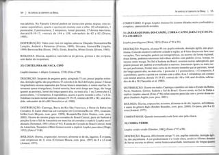 54 I As ESPÉCIES DE SERPENTES DO BRASIL
nos adultos. No Planalto Central podem ter dorso com pintas negras; oito es-
camas supralabiais, quarta e quinta em contato com o olho; lO infralabiais, I
postocular, 2 postoculares, 2 temporais, loreal presente, 27 dentes maxilares,
dorsaisI9-19-17, ventrais de 144 a 159, subcaudais de 62 a 82 (Dixon,
1985).
DISTRIBUIÇÃO: Vales com rios em regiões altas na Chapada Diamantina/Ba
Lençóis, Andaraí e Palmeiras (Freitas, 1999). Ibicoara, lramaia/Ba (Argôlo,
1999) Barreiras/Ba (Dixon, 1985), Goiás, Brasília, Minas Gerais (Dixon, 1985).
BIOLOGIA: Diurna, aquática; nutrindo-se de peixes, girinos e rãs; ovípara,
sem dados de ovipostura.
33) COSTELINHA-DE-VACA, CIPÓ
Liophis lineatus = dilepis (Linnaeus, 1758) (Foto nO 90)
DESCRIÇÃO: Serpente de pequeno porte, atingindo 75 cm; possui pupilas redon-
das, dentição áglifa, não peçonhenta. O colorido é de fácil definição; possui 3 faixas
longitudinais escuras separadas por faixas branco-amarelado, e ventre marfim. In-
ternasais quase triangulares, frontal estreita, bem mais longa que larga, tão longa
quanto as parietais, loreal tão longa quanto alta, ou mais alta, I ou 2 preocular e2
postoculares, I+2 temporais, 8 supralabiais, quarta e quinta tocando o olho, 5 a 6 in-
fralabiais tocando mental anterior, dorsais 19-19-15, ventrais del69 a 182, anal di vi-
dida, subcaudais de 66 a 80 (Vanzolini et aI, 1980).
DISTRIB UIÇÃO: Caatinga, Bacia do Rio São Francisco, e Oeste da Bahia (no
Cerrado). O Autor observou um exemplar em Correntina/Ba em 1991, Guanam-
bi/Ba (Luis Moysés, com. pess. 1999), Brumado/Ba (Alex Ramos, com. pess.
2002). Ocorre do mesmo grupo nos cerrados do Brasil Central, parte do Sudeste e
porções Leste e Sul da Amazônia em manchas de cerrados a espécie Liophis meri-
dionalis (SchenkeJ, 1901) (Foto n° 91). E ainda do Cerrado do Brasil Central, leste
da Amazônia, Tocantins e Mato Grosso ocorre a espécie Liophis paucidens (Hoge,
1953) (Foto n° 91B)
BIOLOGIA: Diurna, crepuscular; terrestre; alimenta-se de rãs, lagartos. É ovípara,
com ovipostura de 11 ovos (Cristiano Moura, com. pess. 1997) de 8 a 12 ovos
(Amaral, 1977).
As ESPÉCIES DE SERPENTES DO BRASIL I 55
COMENTÁRIO: O grupo Liophis lineatus foi durante décadas muito confundido e
complexo, carecendo de revisões.
34) JARARAQUINHA-DO-CAMPO, COBRA-CAPIM JARACUÇU-DE-PA-
PO-AMARELO
Liophis poecilogyrus (Wied, 1825) (Fotos n° 92 a 95).
DESCRIÇÃO: Pequena, alcança 90 cm; pupila redonda, dentição áglifa, não peço-
nhenta. Colorido mutável conforme a idade e região; as 4 fotos descrevem bem suas
variações. Tais variações podem ser ontogenéticas, ou ocorrer de forma regional,
dessa forma, podemos encontrar indivíduos adultos com padrões cinza, laranja, ou
mesmo verde musgo. No Sul e Sudeste do Brasil, ocorrem outras subespécies, que
podem possuir até padrões avermelhados e marrons. lnternasais iguais ou mais cur-
tas que prefrontais, frontal mais curta ou do mesmo tamanho que as parietais, loreal
tão longa quanto alta, ou mais alta, 1 preocular e 2 postoculares; 1+2 temporais; 8
supralabiais, quarta e quinta em contato com o olho; 4 ou 5 infralabiais em contato
com mental anterior, dorsais 19-19-15, ventrais de 146 a 164, anal dividida, subcau-
dais de 46 a 58 (Vanzolini et al, 1980).
DISTRIBUIÇÃO: Ocorre em toda a Caatinga e também em todo o Estado da Bahia.
Norte, Nordeste, Centro, Sudeste e Sul do Brasil. Ocorre ainda, no Sul da Bahia a
espécie Liophis amaral (Foto n° 96) relativamente parecida com o jovem dessa es-
pécie (Antônio Argôlo, com. pess. 2001).
BTOLOGIA: Diurna, crepuscular; terrestre, alimenta-se de rãs, lagartos, anfisbênias,
e sapos do gênero Bufo (Reuber Brandão, com. pess. 2000). Ovípara, põe 8 a 12
ovos (Amaral, 1977).
COMENTÁRIOS: Quando manuseada exala forte odor pela cloaca.
35) COBRA-VERDE
Liophis viridis viridis (Günther, 1862] (Fotos n° 97 e 98)
DESCRIÇÃO: Pequena, dificilmente atinge 71 cm; pupilas redondas, dentição ágli-
fa, não peçonhenta. A cor predominante é o verde-claro, sendo os filhotes dotados
de barras escuras no dorso; ventre branco-amarelado. Internasais tão longas quanto
 