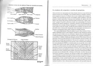 rI IflMlfI I, J'ERNA DE UMA SERPENTE. FORMA DE CONTAGEM DE ESCAMAS.
N" ,d
1("(',11
Inter-nasais
Pré-frontais --..:::..rS-
Supra-ocular
Ventrais
Contagem de Dorsais
Dorsal
Simples
Dorsal
Quilhada
Temporais
-:::Ç~~~?" Parietais
Linha Vertebral
Frontal
Sinfisal
Mental Anterior
Mental Posterior
Fosseta
Apical
Dupla
;---.IV Fosseta
Apical
Única
NOTAS DO AUTOR I 1 1
Os criadores de serpentes e centros de pesquisas.
ApESAR DE PRATICADA GERALMENTE SOB FORMA PROIBIDA POR UMA LEI QUE PROTEGE OS
animais silvestres (Lei nO 9.605/98), é uma realidade brasileira (e mundial) a manuten-
ção de serpentes em cativeiro. No Brasil, criou-se uma verdadeira rede de amigos afi-
cionados, num intercâmbio que envolve universidades, jardins zoológicos. centros de
pesquisa e criadores particulares. É pena que nossa legislação, tão rigorosa sob certos
olhares, não consiga coibir práticas indevidas quando acontecem nos "órgãos compe-
tentes"; quando a lei proíbe ou dificulta a criação, tira a oportunidade de se fazerem
pesquisas sobre aspectos reprodutivos, veterinários, educativos e de informações gerais
relacionadas com a ecologia, biologia, biogeografia e o comportamento de muitas de
nossas espécies à beira da extinção, causada pela perda de habitat e em enorme escala
pelo tráfico local e internacional; ameaças que seriam amenizadas com técnicas de re-
produção e reintegração de fauna, porém, distantes da realidade brasileira.
Tive a oportunidade durante 18 anos de conhecer de perto: Zôos, Institutos e Univer-
sidades; trabalhando inclusive como estagiário voluntário ou não. Somando um total de
sete anos de convívio diário com essas instituições. Algumas sérias sem dúvida alguma
e também prestadoras de funções sociais importantes como: pesquisas, produção de so-
ros antiofídicos e trabalhos voltados para educação ambiental. Mas não posso deixar de
mencionar o horror que pude presenciar em certas instituições como por exemplo: Um
laboratório que mantém aproximadamente 150 cascavéis e jararacas vivas a mais de
quinze anos sem a menor pesquisa ou senso de ética, onde os animais ficam confinados
em caixas individuais de 30X40 cm, comendo apenas uma vez por mês, com ar condi-
cionado a 20 CO de dia e à noite, onde se sabe que o ideal é 25 Co. Outro absurdo é a for-
ma como se sacrificam animais em muitas instituições, principalmente os répteis. Sim-
plesmente se colocam os animais diretamente no freezer, sem ao menos se fazer uma
transição de 24 horas numa geladeira ou mesmo o uso do éter, pois é mais fácil joga-los
diretamente no freezer, porque dá menos trabalho. Na primeira instituição que trabalhei
por quatro anos (na década de 80), o Zoológico de Salvador, era triste o descaso da
maioria dos veterinários e tratadores, que tratavam os répteis como verdadeiros lixos
vivo, alimentando-os quando achavam->eonveniente ou mesmo com medo de fazer tra-
tamento de serpentes grandes ou jacarés, por causa do risco de acidente. Se a serpente
era peçonhenta, aí é que o animal só podia contar com a sorte mesmo, até hoje essa ins-
tituição continua como péssimo exemplo para a herpetocultura brasileira. Em um dos
institutos brasileiros é claro o descaso pelos animais. pois se sabe que pode chegar por
 