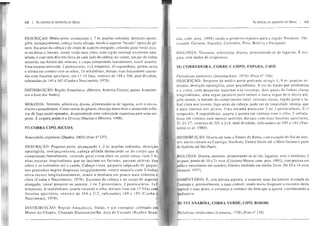68 I As ESPÉOES DE SERPENTES DO BRASIL
Médio porte, i, 7 m, pupilas opistó~
muito afi!ada, dando o aspecto "bícudo" típico do gê-
nero, Escamas da do corpo de escu-
ro no dorso e laterais, ventre mais claro, com ama-
e com uma discreta faixa de cada ladO da no ventre, um par de linhas
amarelas nas bordas das e corpo comprimido loreal ausente.
Uma escama preoclllar, 2 I+2 temporais, 10 quinta, sexta
e sétima em contato com os 01 10 infralabiais, dorsais lisas fracamente carena-
das com fossetas apiedares, em 17-13 filas, ventrais de 188 a anal dividida.
subcaudaís de 144 a 162 1978).
Amazônica, (México, América AmazÔnÍ·
cos a leste dos
BIOLOGIA: TeJTcstre,
enxerga muito bem
xos de muito apurados, uma velocidade
É ovípara pondo 6 a 10 ovos (Martins e Oliveira, I
COBRA CIPÓ, BICUDA
argenteus (Foto n° 137).
cinza ou cinza, com 3
nhas escuras longitudinais que se iniciam no foci passam através d
olhos e se estendem até a cauda. de peq
nos pontinhos negros irregularmente; ventre amarei com 3 lin
oliva escuro longitudinalmente, sendo a mediana um pouco mais estreita e-
clara e Nascimento, I Escamas da e do corpo de aspecto
loreal presente ou ausente, I ou 2 preoculares, 2 1+2
6 uartatocando o dorsais lisas em 17 fil as
fossetas apieiJares, ventrais de 184 a 212, subcaudais 169 a 195
1
DISTRlBUIÇAo:
Morro do Chapéu, Diamantina/Ba. área de Cerrado
As 69
Guianas. Equador,
iro registro para a
Peru, BoHvia e
IOLOGIA: É oví-
n" I
porte podendo I, 8 m; as re-
~peçonhenta. A cor de fundo que predomina
é
a serpente mais facilmente avistada na
e, provavelmente, a mais comum, sendo muito o encontro desta
, o sertanejo a conhllce tão bem que â ignora, considerando-a
COBRA-VERDE, BOIOBI
 