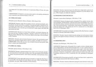 74 f As ESPÉCIES DE SERPENTES DO BRASIL
com média de 33 cm (dados obtidos em 3 oviposturas) (Marco Freitas, obs. pess.
1997).
COMENTÁRIOS: É freqüente o encontro desta espécie com padrões anômalos de
cores e desenhos como mostra as Fotos n° 150 eIS!.
66) COBRA-DE-NARIZ
Phimophis guerini (Duméril, Bibron e Duméril, 1854) (Foto n0152)
DESCRIÇÃO: Pequena, atinge 70 cm; pupilas verticais, dentição opistóglifa, semi-
peçonhenta. Escama rostral bem levantada. O colorido de fundo é o marrom ou cin-
za chumbo, com ventre claro; o jovem possui cabeça e o dorso mais claros; possui
uma linha dorsal, clara e discreta, que se estende até à cauda, alguns indivíduos não
apresentam esta linha.
DISTRIBUIÇÃO: Recôncavo e litoral Norte da Bahia, com poucos registros; ha-
bita áreas de mata, restingas litorâneas e caatinga. Somente foi encontrada em
Mutuípe, Elíseo Medrado, Santa Terezinha, Mata de São João e Feira de Santa-
na/BA. Nordeste.
BIOLOGIA: Terrestre, provavelmente fossorial e noturna. Foi encontrado no estô-
mago de u~ indivíduo o lagarto Ameiva ameiva; ovípara, sem dados de ovipostura.
COMENTARIO: Talvez não seja rara, mas os hábitos fossoriais que possui, pode
tornar o contato com o homem difícil.
67) COBRA DA TERRA
Phimophis iglesiasi (Gomes, 19 J5) (Foto n° 153).
DESCRIÇÃO: Pequena, raramente atinge 50 cm; pupila vertical, dentição opistógli-
fa, semi-peçonhenta. Cor de fundo vermelho-claro, com uma mancha escura no dorso
da cabeça e nas primeiras dorsais, ventre branco-amarelado; rostral pontuda e levan-
tada.
DISTRIBUIÇÃO: Foram observados poucos exemplares no médio Rio São Francis-
co, Juazeiro/Ba e Petrolina/Pe (Cristiano Moura, com. pess. 1999), Cocos/Ba (Reu-
ber Brandão, com. pess. 2000). Nordeste e Centro do Brasil.
As ESPÉCIES DE SERPENTES DO BRASIL I 75
BIOLOGIA: Terrestre, fossorial (o que a faz difícil de ser observada) e noturna; ali-
mentando-se de lagartos fossoriais Notobachia ablephara (Cristiano Moura, com.
pess. 1994). Ovípara, sem dados de ovipostura.
68) PHIMOPHIS SCRIPTORCIBATUS
Phimophis scriptorcibatus (Rodrigues, 1993) (Foto n° 154).
DESCRIÇÃO: Serpente de pequeno porte, alcançando 30 cm, pupilas verticais, den-
tição opistóglifa, semipeçonhenta. Colorido dorsal pardo avermelhado claro, com a
parte dorsal da cabeça e primeiras dorsais de tons escuro; rostral normal, não levan-
tada. Uma escama preocular, 2 postoculares, loreal ausente, 8 supralabiais, quarta e
quinta em contato com o olho, dorsais em 19-19-17, ventrais de 131 a 150, subcau-
dais de 36 a 52 (Rodrigues, 1993).
DISTRIBUIÇÃO: Encontrada unicamente nas dunas do Rio São Francisco, margem
esquerda, em Ibiraba e Queimadas na Bahia.
BIOLOGIA: Terrestre, fossorial, habita áreas de caatinga com solo arenoso e dunas;
alimenta-se de lagartos terrestres e fossoriais, e é ovípara porém sem dados de ovipos-
tura.
69) PHIMOPHIS CHUI
Phimophis chui (Rodrigues, 1993) (Foto nO 155).
DESCRIÇÃO: Pequeno porte, alcançando 40 cm, pupilas verticais, dentição opistó-
glifa, semipeçonhenta, colorido dorsal alaranjado mais vivo que a espécie anterior, e
mancha dorsal do início do pescoço mais escuro quase negro, ventre claro. Rostral
não levantada. Uma escama preocular, 2 postoculares, loreal ausente, fundido com
prefrontal,2 temporais, 8 supralabiais, quarta e quinta em contato com o olho, 8 ou
9 infralabial, dorsais em 19-19-17, ventrais de 163 a 169, subcaudais 47 (Rodrigues,
1993).
DISTRIBUIÇÃO: Encontrada unicame~nte, até agora em Santo Inácio, região de du-
nas da margem direita do Rio São Francisco na Bahia.
BIOLOGIA: Terrestre, fossorial, habitando caatinga de solos arenosos e dunas, apa-
 