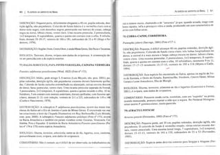 80 I k, ESPÉCIES DE SERPENTES DO BRASIL
DESCRIÇÃO: Pequeno porte, dificilmente chegando a 40 cm, pupila redonda, den-
tição ágl ifa, não peçonhenta. Colorido de fundo básico é o vermelho claro com o
dorso todo negro, com desenhos negros penetrando nas laterais do corpo, cabeça
negra no dorso, labiais claras, ventre claro. Uma escama preocular, 2 postoculares,
1+2 te mporais, 8 supralabiais, quarta e quinta em contato com o olho, 9 infrala-
biais, dorsais 19-19-l7, ventrais de 166 a 181, subcaudais de 35 a 45 (Hoge e Fe-
dersoni, 1974).
DISTRIBUIÇÃO: Regiões Norte,Centro Oeste, e ainda Minas Gerais, São Paulo e Tocantins.
BIOLOGIA: Terrestre, diurna, ovípara sem dados de ovipostura. A alimentação de-
ve ser parecida com a de espécie anterior.
77) FALSA-SURUCUCU, PAPA-PINTO-VERMELHA, CAINANA-VERMELHA
Pseustes sulphureus poecilostoma (Wied, 1825) (Foto n° 172).
DESCRIÇÃO: Média, pode atingir 3, Ometros (Luis Moysés, obs. pess. 2001); pu-
pi las redondas, dentição áglifa, não peçonhenta; escamas dorsais fortemente quilha-
das. Colorido de fundo castanho-avermelhado ou alaranjado, estrias escuras descem
do dorso; faixa postocular, ventre claro. Uma escama preocular separada da frontal,
3 postoculares, 2+2 temporais, 8 supralabiais, quarta e quinta tocando o olho, 10 in-
fralabiais, 5 em contato com mentais anteriores, dorsais quilhadas, com fossetas api-
cilares, dorsais 21-21 com redução, ventrais de 211 a 225, subcaudais de 119 a 146
(Cunha e Nascimento, 1978).
DISTRIBUIÇÃO: A subespécie P. sulphurells poecilostoma, ocorre das matas lito-
râneas da Bahia até o Rio de Janeiro e Leste de Minas Gerais. É encontrada nas ma-
tas estacionais a leste da Chapada Diamantina em Ruy Barbosa/Ba (Luis Moisés,
com. pess. 2000). A subespécie Pseustes sulphurells polylepis (Foto n° 173), ocorre
na Bacia Amazônica e também em países vizinhos como: Guianas, Venezuela, Co-
lômbia, Peru e Equador. E também da Bacia Amazônica Pseustes poecilonotus (Fo-
tos n° 174 e 175) outra espécie Amazônica.
BIOLOGIA: Diurna, terrestre, arborícola; nutre-se de rãs, lagartos, aves, roedores,
provavelmente ovos; ovípara, sem dados de ovipostura.
COMENT ÁRIO: Não é comum, ou é difícil de ser observada; os trabal hadores ru-
As ESPÉCIES DE SERPENTES DO BRASIL I 81
rais a temem muito, chamando-a de "surucucu" já que, quando acuada, reage com
botes rápidos, infla o pescoço e vibra a cauda, produzindo um som característico de
atrito com folhas secas.
78) COBRA-CAPIM, CORREDEIRA.
Psomophisjoberti (Sauvage, 1884) (Foto n017.!).
DESCRIÇÃO: Pequena, é difícil alcançar 40 cm; pupilas redondas, d~nti~ão .ágli-
fa, não peçonhenta. Colorido de fundo cinza-claro; três linhas lon gltu~1I1als no
dorso a central é a mais escura e larga; cabeça escura no dorso; labiaiS claras,
ventr~ claro. Uma escama preocular, 2 postoculares, 1+2 temporais, 8 suprala-
biais, quarta e quinta em contato com o olho, 10 infralabiais, raramente 9 ou 11 ,
dorsais 17-17-15 raramente 15-17-15, ventrais de 192 a 216 (M yers e Cadle,
1994). ......
DISTRIBUIÇÃO: Esta espécie foi encontrada na Bahia, apenas na região de ~ei­
ra de Santana, e Oeste do Estado, Barreiras/Ba. Nordeste, Centro Oeste, Minas
Gerais e Leste Amazônico, Ilha de Maraj6 .
BIOLOGIA: Diurna, terrestre; alimenta-se rãs e lagartos (Guerrei ro e Freitas,
2001); é ovípara, sem dados de ovipostura.
COMENTÁRIO: Possuem cauda curta, romb6ide, com um "espinho" na ponta;
quando manuseada, procura espetar a mão que a segura. No Pantanal Matogros-
sense ocorre P. genimaculatus, muito parecida.
79) ATRACTUS POTSCHI
Atractus potschi (Fernandes, 1995) (Foto n° 177).
DESCRIÇÃO: Pequeno porte, até 35 cm; pupi las redondas, dentição áglifa, não
peçonhenta. O colorido de fundo é vermelho-rosado; várias estrias escuras dor-
sais, ventre amarelado. Uma escama.loreallonga, 7 supralabiais, 1+2 temporal,
dorsais 15-15-15, ventrais de 141 a 155,subcaudais de 23 a 32 (Fernandes,
1995).
DISTRIBUIÇÃO: Espécie antes descrita somente para Sergipe e Alagoas (Fer-
 
