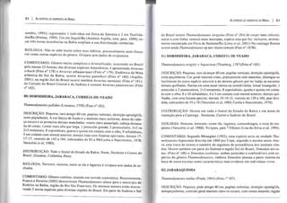 82 I As ESPÉOES DE SERPENTES DO BRASIL
nandes, 1995); registrados 1 indivíduo em Feira de Santana e 2 em Teofilân-
dia/Ba (Freitas, 1999). Um em Jequié/Ba (Antônio Argôlo, com. pess. 1999); es-
sas três novas ocorrências na Bahia ampliam a sua distribuição conhecida.
BIOLOGIA: Não se sabe muito sobre seus hábitos, provavelmente semi-fosso-
rial como outras espécies do gênero. Ovípara sem dados de ovipostura.
COMENTÁRIO: Gênero muito complexo e diversificado, ocorrendo no Brasil
pelo menos 23 formas; das diversas espécies Amazônicas, é apresentado Alraclus
schach (Foto n° 178) e Atractus aibuquerquei (Foto n° 179). Endêmica da Mata
atlântica do Sul da Bahia, ocorre Atractus guentheri (Foto n° 180) (Argôlo,
2001); na região Sul do Brasil ocorre também Atractus taeniatus (Foto n° 181);
do Cerrado do Brasil Central e do Sudeste é comum Atractus pantosticlus (Foto
n° 182).
80) DORMIDEIRA, JARARACA, CORREIA-DE-VEADO
Thamnodynastes pallidus (Linnaeus, 1758) (Foto n° 183).
DESCRIÇÃO: Pequena, raro atingir 60 cm; pupilas verticais, dentição opistóglifa,
semi-peçonhenta. A cor básica de fundo é o marrom-claro uniforme, dorso da cabe-
ça escuro e as primeiras dorsais manchadas, ventre claro amarelado, cabeça destaca-
da do corpo. Loreal mais alta que larga, 1 preocular grande, 2 postoculares, 2+2 ou
2+3 temporais, 8 supralabiais, quarta e quinta em contato com o olho, 9 infralabiais,
5 em contato com mental anterior; dorsais lisas com fossetas apicilares, dorsais 17-
17-17, ventrais de 142 a 164, subcaudais de 83 a 99(Cunha e Nascimento, 1978;
Vanzolini et ai, 1980).
DISTRIBUIÇÃO: Todo o litoral do Estado da Bahia. Norte, Nordeste e Centro do
Brasil. (Guianas, Colômbia, Peru). .
BIOLOGIA: Terrestre, noturna; nutre-se rãs e lagartos é vivípara sem dados de ni-
nhadas.
COMENTÁRIO: Gênero confuso, estando em revisão sistemática. Recentemente,
Franco e Ferreira (2002) descreveram Thamnodynastes almae para o município de
Rodelas na Bahia, região do Rio São Francisco. Os mesmos autores estão descre-
vendo 5 novas espécies para diversas regiões do Brasil. Em parte do Sudeste e Sul
As ESPÉCIES DE SERPENTES DO BRASIL I 83
do Brasil ocorre Tharnnodynastes strigatus (Foto n° 184)de corpo mais robusto,
maior e com linhas ventrais mais marcadas, espécie esta que foi, inclusive, recente-
mente encontrada em Feira de Santana/Ba (Lima el aI, 200 I).Na caatinga Baiana
ocorre ainda Tharnnodynastes sp nov muito comum (Foto n° 183B).
81) DORMIDEIRA, JARARACA, CORREIA DE VEADO
Thamnodynastes strigilis = hypoconia (Thunberg, 1787)(Foto n° 185).
DESCRIÇÃO: Pequena, raro alcançar 60 cm; pupilas verticais, dentição opistóglifa,
semi-peçonhenta. Cor geral marrom-claro, praticamente sem manchas; distingue-se
facilmente da outra espécie anterior e do mesmo gênero por ter todas as escamas
dorsais quilhadas. Narina em uma nasal inteira ou semidividida, loreallosangular, I
preocular e 2 poslOculares, 2+3 temporais, 8 supralabiais, quarta e quinta em conta-
to com o olho, 8 a 10 infralabiais, 4 e 5 em contato com mental anterior, dorsais qui-
Ihadas, com uma fosseta apicdar, dorsais 19-19-15, ventrais de 139 a 160, anal divi-
dida, subcaudais de 55 a 78 (Vanzolini el ai, 1980; Cunha e Nascimento, 1978).
DISTRIBUIÇÃO: Ocorre em todo o litoral do Estado da Bahia e em áreas de
transição para a Caatinga. Nordeste, Centro e Sudeste do Brasil.
BIOLOGIA: Noturna, terrestre; come rãs, lagartos, camundongos, e ovos de ser-
pentes (Vanzolini el aI, 1980). Vivípara, pare 7 filhotes (Lira-da-Silva et aI, 1994).
COMENTÁRIO: Segundo Meneghel (1992), essa espécie seria na verdade Tha-
nodynastes hypoconia descrita em 1860 por Cope, segundo o mesmo autor, hou-
ve uma troca de nomes e também de registros de procedência dos animais cita-
dos. Ocorre também em parte do Sudeste e região Sul do Brasil, Tomodon dorsa-
tus, (Foto nO 186) e Tomodon ocellatus, ambas parecidas e confundíveis com es-
pécies do gênero Thamnodynastes, embora Tomodon possua a parte interna da
boca de cores escuras como característica mais evidente em indivíduos vivos.
82) JARARAQUINHA
Thamnodynastes rutilus (Prado, 1943) (FOIO ;-:0 187).
DESCRIÇÃO: Pequena, pode atingir 60 cm, pupilas redondas, dentição opistóglifa,
semipeçonhenta, colorido geral marrom claro ou escuro, com ventre amarelo, região
 