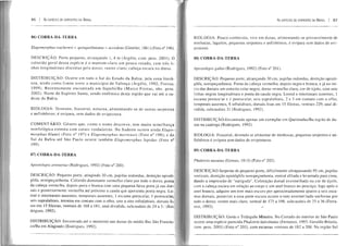 86 I As ESPÉC1ES DE SERPEírrES 00 BRASiL
86) COBRA-DA-TERRA
Elapomorphus wuchereri '" qllinql/elineatlls accedens (Günther, 1861) (Foto n° I
Porte pequeno, 1, 4 m com. pess. 2001). O
dessa espécie é o marrom-claro um pouco rosado, com três li-
nhas longitudinais discretas o dorso; ventre claro; escura no dorso.
DISTRIB Ocorre em todo o Sul do Estado da Bahia, pela zona litorâ-
nea, tendo como limite norte o município de (A lo, 1 Freitas,
1999). Recentemente encontrada em obs. pess.
Norte do que vai até o su-
deste da Bahia.
BIOLOGIA:
e
fossoriaI, noturna, alimentando-se de outras
sem dados de avi postura.
COMENTÁRIO: Gênero que, como o nome tem muita
externa com corais verdadeiras. No Sudeste ocorre ainda
morphus blumii (Foto n° 197) e Elapomorphlls mertensis (Foto n° 1
Sul da Bahia até São Paulo ocorre também Elapomorphus
199).
87) COBRA-DA-TERRA
arenarius (Rodrigues, 1992) n° 200).
DESCRrçÃO: Pequeno porte, atingindo 30 cm, pupilas
glifa, semipeçonhenta. Colorido dominante vermelho claro por todo o dorso, ponta
da preta e branca com uma pequena faixa preta já nas dor-
sais e posteriormente vermelha até próximo a cauda que apresenta ponta negra. Lo-
real e internasais ausentes, temporais ausentes, 1 escama 1
terceira em contato com o sete a oito infralabiais, dorsais li-
ventrais de 168 a 181, anal dividida, subcaudais de 24 a 3 (Ro-
Encontrada até o momento nas dunas do médio Rio São Francis-
(Rodrigues, 1992).
As ESPÉC1ES DE SERPENTES 00 BRAS1L I 87
BIOLOGIA: Pouco vive em alimentando-se provavelmente de
minhocas, lagartos, pequenas serpentes e anfísbênios, é ovípara sem dados de oví-
posturas.
COBRA-DA-TERRA
gaboi
alcançando 30 cm, pupilas
vermelha, negra e e já no iní-
cio das dorsais um estreito colar negro. dorso vermelho cor de tijolo, com sete
linhas negras longitudinais e ponta da cauda negra. Loreal e internasais ausentes, 1
escama preocu lar e 1 postocu sei s 2 e 3 em contato com o
ausentes, 8 dorsais lísas em 15 ventrais anal di-
subcaudais 31
Encontrado apenas um
na caatinga (Rodrigues,
em de du-
devendo se alimentar de minhocas, pequenas serpentes e an-
fisbêníos é sem dados de
COBRA-DA-TERRA
Phalotris nasutus 1915) (Foto n°
'<':D,r~c'nt" de pequeno porte, dificilmente ultrapassando 95 cm,
rostral afilada e levantada para cima,
dando a impressão de "nariguda". Coloração dorsal avermelhada ou cor de tijolo,
com a escura em relação ao corpo e um anel branco no pescoço; o
anel branco, um tom mais escuro por quatro a seis esca-
mas dorsais, posterior a essa parte escura ocorre o tom avermel hado uniforme por
todo o dorso, ventre mais claro, ventral de 175 a 198, subcaudais de 25 a 36 (Ferra-
1993).
Goiás e Triângulo Mineiro. No Cerrado do interior de São Paulo
ocorre uma Phalotris lativiuatus Geraldo
com. pess. 2001) (Foto nO 203), com escamas ventrais de 182 a 208. Na
 