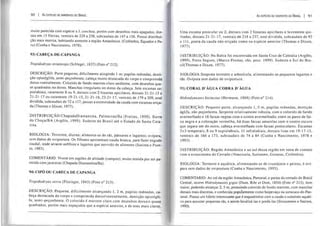90 I As ESPÉCIES DE SERPENITS DO BRASIL
muito parecida com espécie a /. cenchoa, porém com desenhos mais apagados, dor-
sais em 15 fileiras, ventrais de 229 a 238, subcaudais de 147 a 156. Possui distribui-
ção mais restrita, habitando somente a região Amazônica. (Colômbia, Equador e Pe-
ru) (Cunha e Nascimento, 1978).
93) CABEÇA-DE-CAPANGA
Tropidodryas striaticeps (Schlegel, 1837) (Foto n° 212).
DESCRIÇÃO: Porte pequeno, dificilmente atingindo 1 m; pupilas redondas, denti-
ção opistóglifa, semi-peçonhenta; cabeça muito destacada do corpo e comprimida
dorso-ventralmente. Colorido de fundo marrom-claro uniforme, com desenhos qua-
se quadrados no dorso. Manchas irregulares no dorsoda cabeça. Sete escamas su-
pralabiais, raramente 8 ou 9, dorsais com 2 fossetas apicilares, dorsais 21-2J -15 e
21-21-17 ou raramente 19-21-15,21-21-16,23-21-17, ventrais de 179 a 209, anal
dividida, subcaudais de 72 a 117; possui a extremidade da cauda com escamas eriça-
da (Thomas e Dixon, 1977).
DISTRrB UIÇÃO:ChapadaDi aman ti na, PaI mei ras/Ba (Frei tas, 1999). Barra
do Choça/BA (Argôlo, 1999). Sudeste do Brasil até o Estado de Santa Cata-
rina.
BIOLOGIA: Terrestre, diurna; alimenta-se de rãs, pássaros e lagartos; ovípara,
sem dados de ovipostura. Os filhotes apresentam cauda branca, para fazer engodo
caudal, onde atraem anfíbios e lagartos que servirão de alimento (Sazima e Puor-
to, 1993).
COMENTÁRIO: Vivem em regiões de altitude (campos); muito temida por ser pa-
recida com jararacas (Chapada Diamantina/Ba).
94) CIPÓ OU CABECA DE CAPANGA
Tropidodryas serra (Fitzinger, 1843) (Foto n° 213).
DESCRIÇÃO: Pequena, dificilmente alcançando 1,2 m, pupilas redondas, ca-
beça destacada do corpo e comprimida dorso/ventralmente, dentição opistógli-
fa, semi-peçonhenta. O colorido é marrom claro com desenhos dorsais quase
quadrados, porém mais espaçados que a espécie anterior, e de tons mais claros.
As ESPÉCIES DE SERPENlli DO BRASIL I 9 1
Uma escama preocular ou 2; dorsais com 2 fossetas apicilares e levemente qui-
Ihadas,dorsais 21-21-17, ventrais de 218 a 237, anal dividida, subcaudais de 93
a 111, ponta da cauda não eriçada como na espécie anterior (Thomas e Dixon,
1977).
DISTRIBUIÇÃO: Na Bahia foi encontrada em Santa Cruz de Cabralia (Argôlo,
1999), Porto Seguro, (Marco Freitas, obs. pess. 1999). Sudeste e Sul do Bra-
sil(Thomas e Dixon, 1977).
BIOLOGIA:Serpente terrestre e arborícola, alimentando-se pequenos lagartos e
rãs. Ovípara sem dados de ovipostura.
95) CORAL D'ÀGUA COBRA D'ÀGUA
Hidrodynastes bicinClUS (Hermann, 1804) (Foto n° 214).
DESCRIÇÃO: Pequeno porte, alcançando 1, O m, pupilas redondas, dentição
áglifa, não peçonhenta. Serpente relativamente robusta, com o colorido de fundo
avermelhado e 16 faixas negras com o centro avermelhado; entre os pares de fai-
xa negra e a coloração vermelha, há duas faixas amarelas com o centro escuro
que separa um do outro, cabeça avermelhada com faixas postoculares. Escamas
2+3 temporais; 8 ou 9 supralabiais, II infralabiais, dorsais lisas em 19-17-15,
ventrais de 166 a 173, subcaudais de 74 a 84 (Cunha e Nascimento, 1978 e
1993).
DI STRIBUIÇÃO: Região Amazônica e ao sul dessa região em zona de contato
com o ecossistema do Cerrado (Venezuela, Suriname, Guianas, Colômbia).
BIOLOGIA: Terrestre e aquática, alimentando-se de crustáceos e peixes; é oví-
para sem dados de ovipostura (Cunha e Nascimento, 1993).
COMENTARIO: Ao sul da região Amazônica, Pantanal, e partes do cerrado do Brasil
Central, ocorre Hidrodynastes gigas (Dum, Bibr el Dum, 1854) (Foto n° 215), bem
maior, podendo alcançar 2, 5 m, possuindo colorido de fundo marrom, com manchas
dorsais mais discretas, e conhecida popuTarmente como boipevaçu ou surucucu-do-Pan-
tanal. Possui um hábito interessante que é esquadrinhar com a cauda o substrato aquáti-
co para assustar pequenas rãs, e assim localizá-Ias e predá-Ias (Strussmann e Sazima,
1990).
 