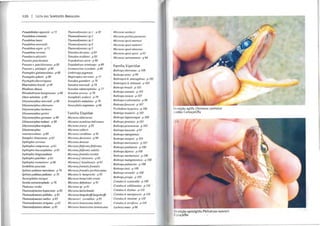 120 LISTA DAS SERPENTES BRASILEIRA
Pseudnblabes agassizú - p 72
Pseudoboa corona/a
Pseudoboa haasi
Pseudoboo neuwiedii
Pseudoboa /ligra - p 73
Pseudoboa serrana
Pseudoerix plicmi/is
Pseus/es poecilol/o/us
Pseus/es s. poeci/oslO/IIl/s - p 80
Pseusles s. po/y/epis - p 80
Psomophis genimacll/mus - p 80
Psomophis jobeni - p 80
Plychophisjlavovirgalus
Rhachidelus brazili - p 49
Rhadinea oblUsa
Rhil1obOlhryum lenJigil1osul/1 - p 88
Sibol1 nebu/ala - p 40
Sibynomorphus neuwiedi - p 88
Sibynomorp/ws allenwlllS
Sibynomorphus barbouri
Sibynonwrphus gnrbei
Siby/lomorphlls garmani - p 88
Sibinol/1orphlls mylw.ni - p 88
Sibynolnorphus /lIrgidlls
Sibynonwrphus
venlrimuculnlllS - p 88
Sinwphis rhi/loSloma - p 65
Siphlophis cervinlls
Siph/ophis compressus - p 65
Siph/ophis /ellcocepha/us -p 65
Siph/ophis longicallda/us
Siph/ophis pu/chher - p 65
Siph/ophis worOll/Zovi - p 66
Sordellina puncla/a
Spiloles pllllalUs macII/aJus - p 70
Spilo/es pllllalUs pllllallls - p 70
Taeniopha/lIs nicaglls
Talllila tnelanocephala - p 76
Thalesius viridis
Dwmnodynasles hypoconia - p 82
Thamnodynas/es pallidlls - p 82
7hamnodyllasles rUIi/IIS - p 83
Thamnodynas/es s/rigaJIIs -p 82
Thamnodynas/es almae - p 82
Tham/lodynasles sp 1 - P 82
Thamllody/lasles sp 2
DUlIrmodynasles sp 3
Thamnody/lasles sp 4
Tham/lodynasles sp 5
Tomo(ÚJn dorsallls - p 83
Tortlodon ocellallls - p 83
Tropi(ÚJdryas serra - p 90
Tropidodryas slriaJiceps - p 89
Vromacerina ricardinii - p 40
Umbrivaga pygmaea
Wag/erophis merremii -p 77
Xellodon guenlheri -p 78
Xel/odon nellwiedi - p 78
Xenodon rabdocepha/us -p 77
Xenodon sevems - p 78
Xenopholis scalaris . p 79
Xenoplzolis undulatus - p 79
Xenoxybelis argel/lells -p 66
Familia Elapidae
Micmms albicincllIs
Micmrus a/lnelallls bolivianlls
Micmms averyi -p 92
Micmros collaris
Microrus corollinlls - p 92
Micrurus decoratlls - p 94
Micruros donosoi
Micrurosfiliformis fi/ifonnis
Microrusfiliformis sllbtilis
Micrurusfronlalis tric%r
Micrurusf alriroslris - p 93
Micrurus f brasiliellsis - p 93
Micrurosfronta/isfrontalis
Micrurusfrontalis pyrrhocryptlls
Microms Ir. Izemprichii - p 95
Micmrus hemprichii ononi
Micmros ibiboboca - p 91
Micmros sp - p 91
Micrurus karlschmidti
Micmrlls langsdorffi langsdorffi
MicmT/ls l. carvallhoi - p 95
Micmms lemniscarus helleri
Micmms lemniscatus lemniscatus
Micrllrus nardllcci
Micrurus psiches paraellSis
MicnlTlIs spixii lnarlillsi
Micmf/lS spixii ruJllereri
Micrurus spixii obscurus
MicnlnlS spixii spixii -P 95
Microrlls surillamensis - p 94
Farnilia Viperidae
BOlhrops a/tematus - p /08
Bothrops alrox - p 99
BOlhriopsis b. slllaragdillus - p 105
BOlhriopsis b. bilineOla - p 105
BOlhrops brazili - p 105
BOlhrops taenialO - p /05
Bothrops cOliara - p 107
Bothrops erythrome/as - p 99
Bothropsfollsccai - p 107
POl1hidillm hyoproru - p 106
BOlhrops inslllaris -p 102
BOlhrops itapeliningae - p 109
Bothropsjararaca - pIaI
BOlhropsjararacussu - p 103
Bothrops /euCIITIIS - p 97
BOlhrops marajocllsis
BOlhrops moojeni - p 105
BOlhrops IIlllriciencis -p 105
Bothrops pauloensis - pIa0
BOlhrops diporus - pIa0
BOlhrops marmoralus -p 100
Bothrops ma/ogrossensis - p 100
BOlhrops pubescens - p 100
BOlhrops lutzi - p 100
BOlhrops l1ewiedii - p 100
Bothrops pirojai - p 105
Crotallls d. cascavel/a - p 109
Croralus d. collilineatus - pilO
Crolalus d. dryinus - pilO
Crotalus d. marajoc/lsis - pIlO
Croralus d. rortlima -p lia
Crolalus d. lerrificus - pIlO
Lachesis muta - p 96
01
Dentição aglifa Chironius carinatus
Jordão CamaçarijBa
I)entição opistóglifa Philodryas na/em-i
CuraçáIBa
 