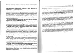 20 I CHAVE 5lMPUFlCADA PARA IDENIlFlCAÇÀO DAS PRINCIPAISEMAIS COMUNS FAMÍUAS DE SERPENrES DO BRASIL
OI) Escamas ventrais não diferellciadas das dorsais =LEPTOTYPHLOPIDAE,
TYPHLOPIDAE E ANOMALEPEDIDAE.
Serpentes muito pequenas, não peçonhentas; habitam quase exclusivamente sob o solo
ou embaixo de folhas secas ou troncos e pedras; difíceis de serem encontradas. Pratica-
mente cegas, só possuem olhos vestigiais; além de cabeças e mandíbulas muito curtas,
possuem dentição áglifa (Foto n° 01), não têm dentes na mandíbula (Typhlopidae) possui
dentes apenas na maxila (Leptotyphlopidae). Não confundir essas famílias com as cha-
madas cobras-cegas ou de duas cabeças, que na verdade, são anfisbênios, lagartos sem
pernas com corpo serpentiformes.
02) Fossetas loreais preselltes (a fosseta loreal é um orifício maior que a narina, si-
tuado entre esta e o olho) =VIPERIDAE. (Foto nO OS)
São as serpentes peçonhentas mais representativas do Brasil, com quatro gêneros e
cerca de quarenta formas (entre espécies e subespécies); vivem em todos os ecossistemas,
sobre arbustos e no solo. Possuem presas solenóglifas (Foto n° 04), o tipo de dentição
mais desenvolvido para a inoculação de peçonha; são as cascavéis, jararacas e surucucus.
03) Escamas dorsais da cabeça de forma irregular; lentas no andar e volumosas,
são as maiores serpentes do mundo =BOIDAE.
Apresentam cinco gêneros e oito espécies no Brasil; vivem tanto nas árvores como na
terra e na água; não peçonhentas, têm dentição áglifa (Foto n° 01) que serve só para reter a
presa; matam por constrição; têm dois esporões, um de cada lado da cloaca, que são vestí-
gios de pemas. Têm muitas escamas dorsais (mais que trinta). São as jibóias, salamantas e
sucuris.
04) Colorido em forma de tríadas completas de preto, vermelho, branco ou ama-
relo =ELAPIDAE.
São semi-fossoriais, vivendo sempre ocultas debaixo de folhas secas ou terra fofa.
Ocorrem, um gênero e vinte e oito formas no Brasil, vivendo em todos os ecossistemas
nacionais. São conhecidas como corais-verdadeiras. Possuem dentição proteróglifa (Foto
nO 03) e matam pela sua peçonha e apreensão. Na região Amazônica existem espécies
sem colorido forte como o vermelho ou amarelo.
OS) Escamas grandes no dorso da cabeça; padrões de cor os mais variados possíveis;
dentição áglifa (foto n° 01) ou opistóglifa (foto nO 02) = COLUBRlDAE.
Família cosmopolita, ocupando os mais variados ecossistemas. Possuem dezenas de
gêneros e centenas de espécies. São as corais-falsas, cipós, corredeiras, cobras-verdes, es-
padas, cobras-pretas, cainanas. Matam pela sua peçonha, constrição e apreensão; são se-
mi-peçonhentas ou não peçonhentas.
ESPÉCIES AMEAÇADAS I 21
NÃO PODEMOS DEIXAR DE CITAR ALGUMAS ESPÉCIES E RAÇAS QUE JÁ CORREM PERIGO EMI-
nente de extinção ou mesmo diminuição drástica de suas populações com as coletas se-
letivas, a começar pela jaracuçu-de-tapete Bothrops pirajai, endêmico do sul do Re-
côncavo Baiano e sul da Bahia; a jararaca-de-Alagoas Bothrops muriciensis, recente-
mente descrita e que se restringe a uma única mancha de Mata Atlântica alagoana; a su-
rucucu Laehesis mula população da Mata Atlântica, a jararaca-verde Bothrops b. bi-
lineala do Leste brasileiro; a salamanta da Mata Atlântica Epierates cenehria hygro-
philus; a CoraJlus eropanii, onde somente foi encontrada alguns exemplares em Mira-
catu (São Paulo) na década de 1950 e recentemente reencontrada após mais de 30 anos
sem contato com a ciência em São Paulo; a Piriquitambóia Corallus caninus, muito
comum e de ampla distribuição, porém muito perseguida e traficada para o exterior; a
jararaca ilhôa, Bothrops insularis, restrita à Ilha de Queimada Grande e muito trafica-
da para o exterior; a jararaca de Alcatraz Bothrops sp nova, endêmica da Ilha homôni-
ma em São Paulo; a jararaca de barriga preta, Bothrops cotiara; e a cotiara estrela,
Bothrops jonsecai, ambas dependentes de florestas de araucária e altitude; a urutu,
Bothrops alternata, dependente de brejos preservados; a jibóia e a sucuri, que embora
comuns são perseguidas por causa da carne, couro e tráfico de animais silvestres vivos,
e ainda acusadas de comerem animais de criação e de colocarem em risco a vida de pes-
soas devido ao seu porte avantajado. Não devemos esquecer de espécies que pouco sa-
hemos sobre sua distribuição geográfica ou status atual de suas populações.
 