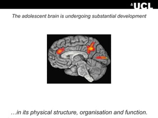 The adolescent brain is undergoing substantial development

…in its physical structure, organisation and function.

 