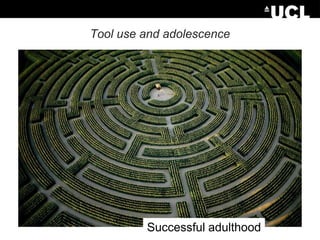 Tool use and adolescence

Successful adulthood

 
