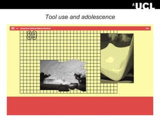 Tool use and adolescence

 