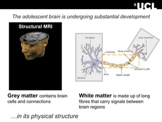 The adolescent brain is undergoing substantial development
Structural MRI

Grey matter contains brain

White matter is made up of long

cells and connections

fibres that carry signals between
brain regions

…in its physical structure, organisation and function.

 