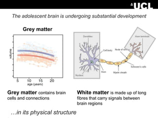 The adolescent brain is undergoing substantial development

volume

Grey matter

age (years)

Grey matter contains brain

White matter is made up of long

cells and connections

fibres that carry signals between
brain regions

…in its physical structure, organisation and function.

 