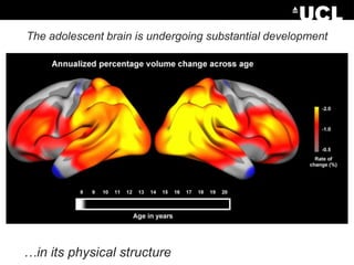 The adolescent brain is undergoing substantial development

…in its physical structure, organisation and function.

 