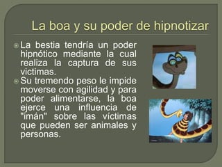  La   bestia tendría un poder
  hipnótico mediante la cual
  realiza la captura de sus
  victimas.
 Su tremendo peso le impide
  moverse con agilidad y para
  poder alimentarse, la boa
  ejerce una influencia de
  "imán" sobre las víctimas
  que pueden ser animales y
  personas.
 