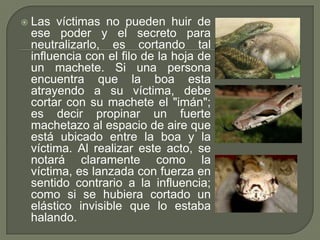    Las víctimas no pueden huir de
    ese poder y el secreto para
    neutralizarlo, es cortando tal
    influencia con el filo de la hoja de
    un machete. Si una persona
    encuentra que la boa esta
    atrayendo a su víctima, debe
    cortar con su machete el "imán";
    es decir propinar un fuerte
    machetazo al espacio de aire que
    está ubicado entre la boa y la
    víctima. Al realizar este acto, se
    notará claramente como la
    víctima, es lanzada con fuerza en
    sentido contrario a la influencia;
    como si se hubiera cortado un
    elástico invisible que lo estaba
    halando.
 