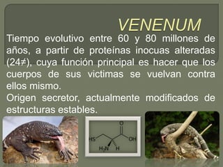 Tiempo evolutivo entre 60 y 80 millones de
años, a partir de proteínas inocuas alteradas
(24≠), cuya función principal es hacer que los
cuerpos de sus victimas se vuelvan contra
ellos mismo.
Origen secretor, actualmente modificados de
estructuras estables.
 