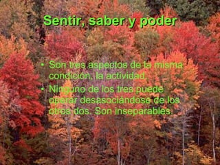Sentir, saber y poder Son tres aspectos de la misma condición, la actividad. Ninguno de los tres puede operar desasociándose de los otros dos. Son inseparables. 