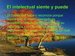 El intelectual siente y puede El intelectual sabe y reconoce porque siente que el objeto asociado es correlativo con el sentido común de su naturaleza y por lo mismo, acepta el significado del objeto como valido. Lo cual produce un nuevo significado. Esta función exige de emoción y de voluntad. 