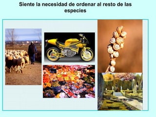 Siente la necesidad de ordenar al resto de las especies 
