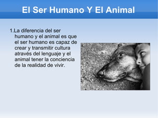 El Ser Humano Y El Animal ,[object Object]