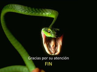 Gracias por su atención
FIN
 