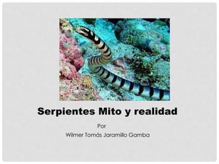 Serpientes Mito y realidad
Por
Wilmer Tomás Jaramillo Gamba
 