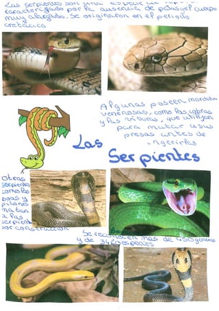 Serpientes4