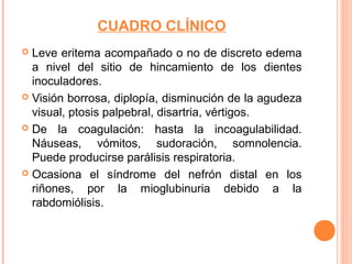CUADRO CLÍNICO
 Leve eritema acompañado o no de discreto edema
  a nivel del sitio de hincamiento de los dientes
  inoculadores.
 Visión borrosa, diplopía, disminución de la agudeza
  visual, ptosis palpebral, disartria, vértigos.
 De la coagulación: hasta la incoagulabilidad.
  Náuseas, vómitos, sudoración, somnolencia.
  Puede producirse parálisis respiratoria.
 Ocasiona el síndrome del nefrón distal en los
  riñones, por la mioglubinuria debido a la
  rabdomiólisis.
 